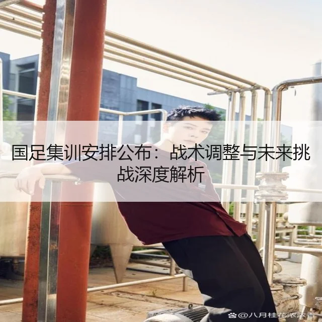 国足集训安排公布：战术调整与未来挑战深度解析